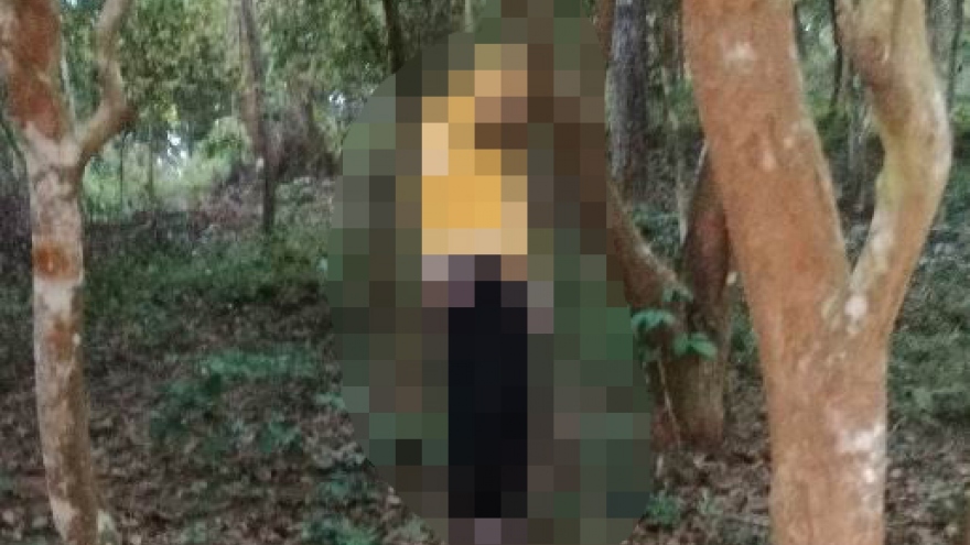 Lạng Sơn: Người đàn ông tử vong trong tư thế treo cổ trên cành cây